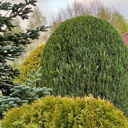 Nyaraló Dom Nad Jeziorem,opcja Balii,duzy Ogrodzony Ogrod, Idealne Mieksce Na Grzyby,wedrowki,kaszuby Nowe Czaple *