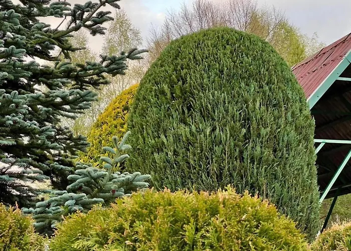 度假居 Dom Nad Jeziorem,opcja Balii,duzy Ogrodzony Ogrod, Idealne Mieksce Na Grzyby,wedrowki,kaszuby Nowe Czaple *